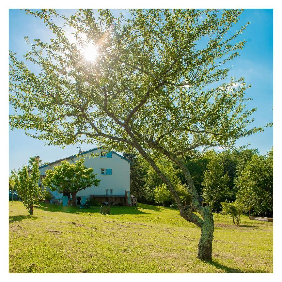 Chambre Soignee Et Accueillante A La Campagne - Ch. Jaune L'Honor-de-Cos Exterior photo